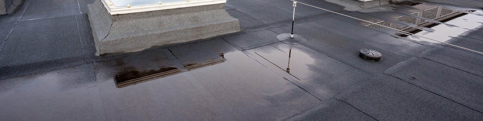 Water sitting on flat roof