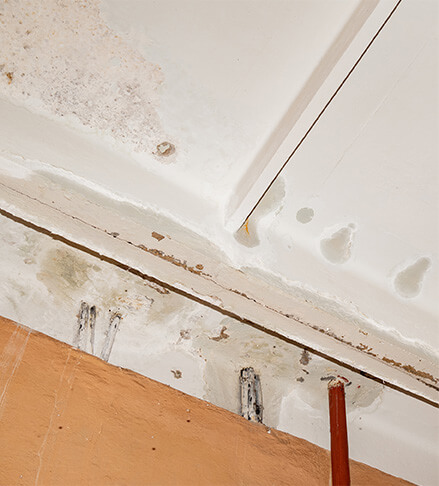 mold showing signs of commercial roof leak